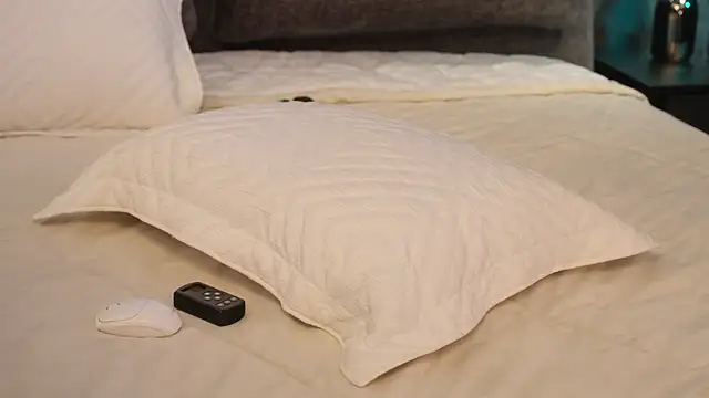 Rikka Moore online show from 8, 12, 2024