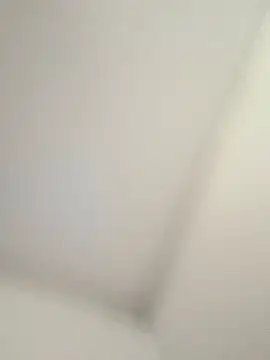 CelesteBailey online show from 26, 9, 2025