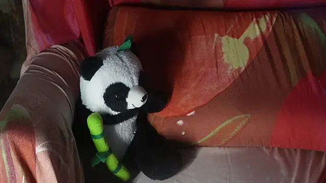 -AyeshaSinghania- online show from 27, 10, 2025