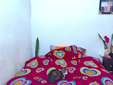 The wickles 4443 online show from 14, 2, 2025