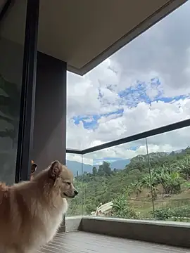 Snapshot of Helenbronwx chatting on 6, 1, 2025 Helenbronwx online show from 6, 1, 2025