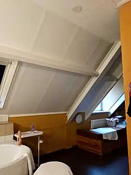 MarleneBloem online show from 31, 12, 2024