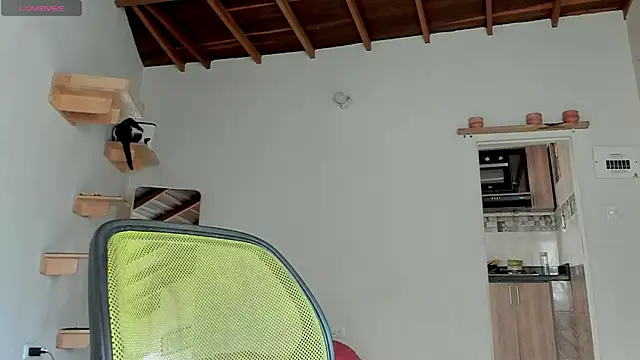 Rainbow leia online show from 12, 10, 2025