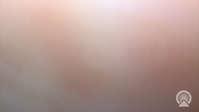 Aulonocara86 online show from 17, 12, 2025