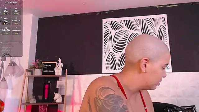 WildyTemping online show from 1, 3, 2025