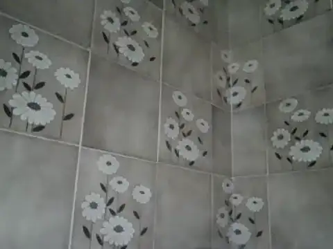 joaodias 97 online show from 14, 1, 2025