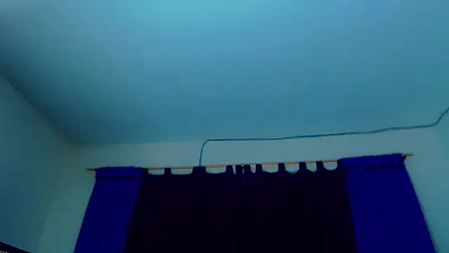 Pamela Dior online show from 3, 12, 2025