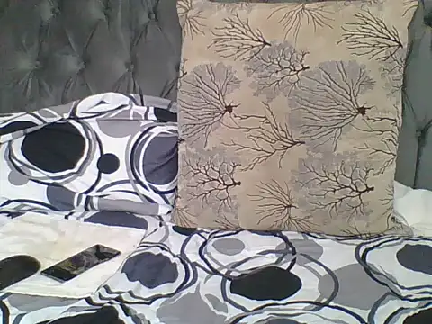 Snapshot of SilentQueen93 chatting on 23, 6, 2026 SilentQueen93 online show from 23, 6, 2026