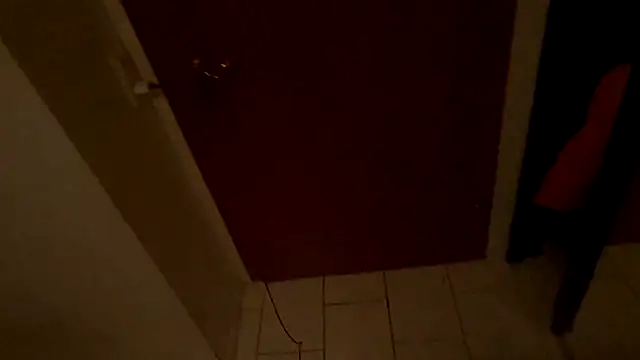 Snapshot of LeviXtreme chatting on 15, 12, 2025 LeviXtreme online show from 15, 12, 2025