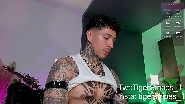 TigerStripes1  online show from 22, 3, 2025