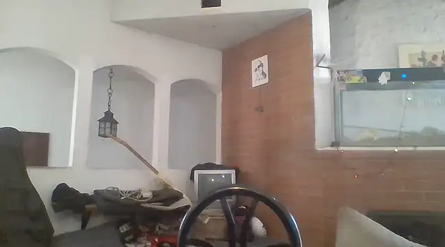 Snapshot of Stevenson988 chatting on 19, 12, 2024 Stevenson988 online show from 19, 12, 2024