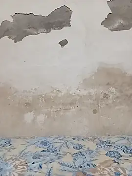 09punjabi online show from 27, 10, 2025