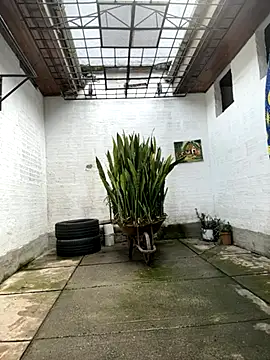 oliver price1 online show from 27, 10, 2025