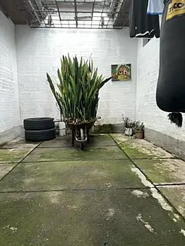 oliver price1 online show from 16, 11, 2025